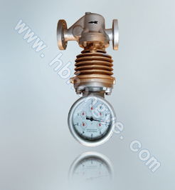 泊頭儀表廠分流旋翼式蒸汽流量計,廠家直銷,流量計價錢高清圖片 高清大圖