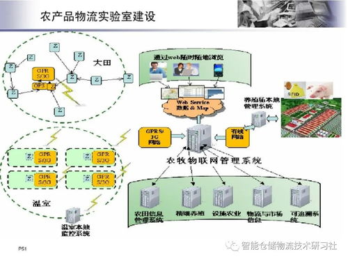 物聯(lián)網(wǎng)技術(shù)在智能物流系統(tǒng)中的網(wǎng)絡(luò)系統(tǒng)安裝與集成實(shí)踐