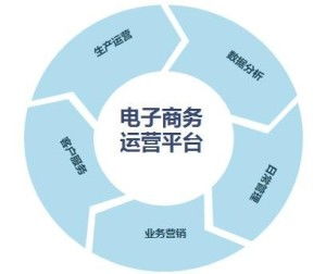 電子商務技能與培訓 數字時代的商業新引擎